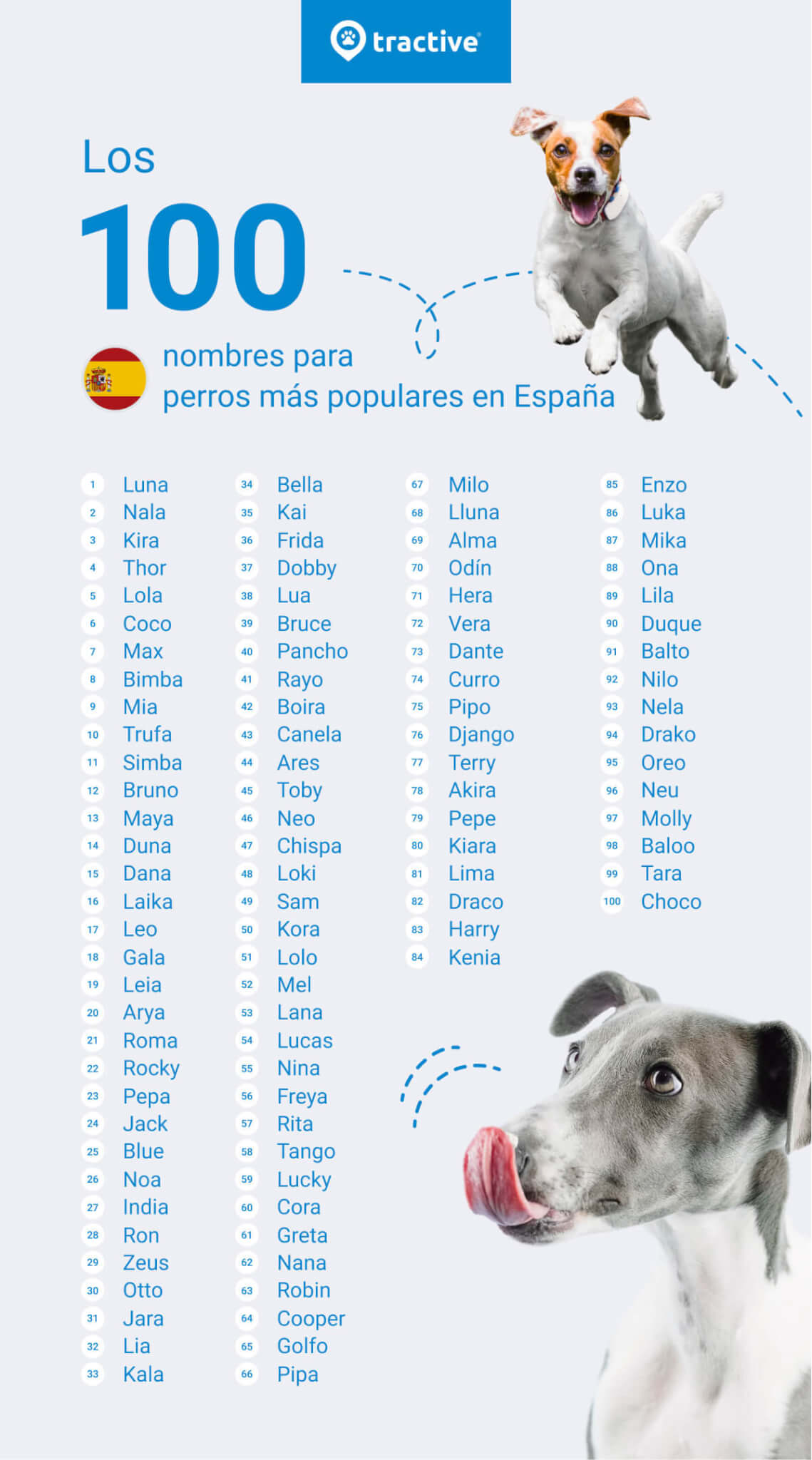 50 Nombres Para Perros Macho