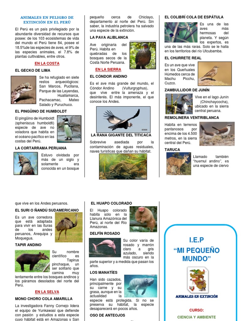 Animales En Peligro De Extinción Perú Wikipedia