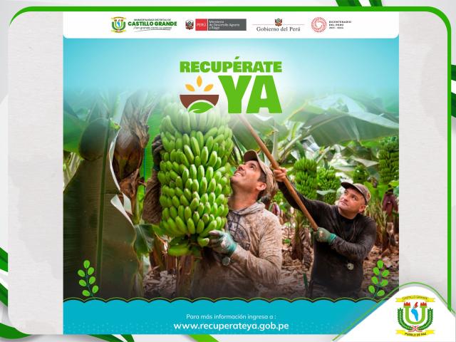 Bono Recuperate Ya Link 2023