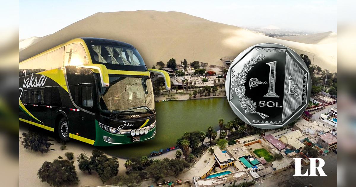 Bus De Lima A Ica Plaza Norte