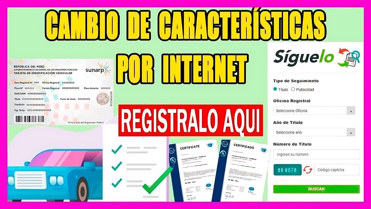 Cambio De Caracteristicas Vehicular Sunarp