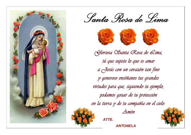 Carta A Santa Rosa De Lima