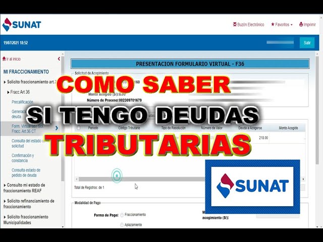 Como Saber Si Tengo Deuda En La Sunat