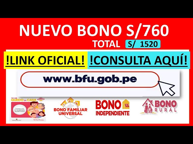 Consulta De Segundo Bono Universal