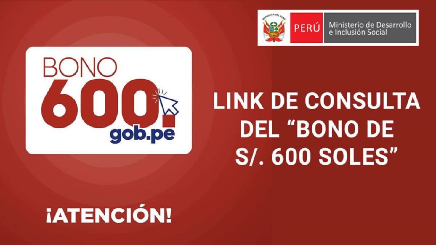 Consulta Del Bono De 600