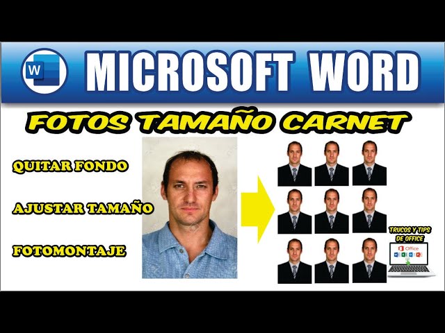 Convertir Foto A Tamaño Carnet Online Gratis