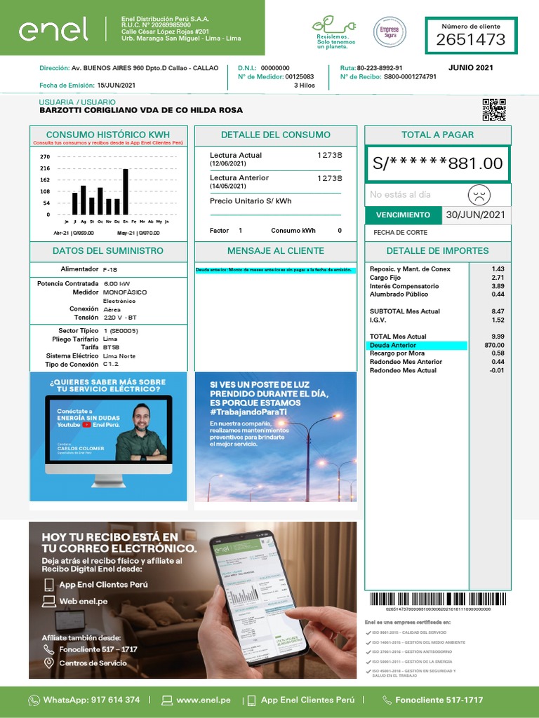 Descargar Mi Recibo De Luz En Pdf Enel