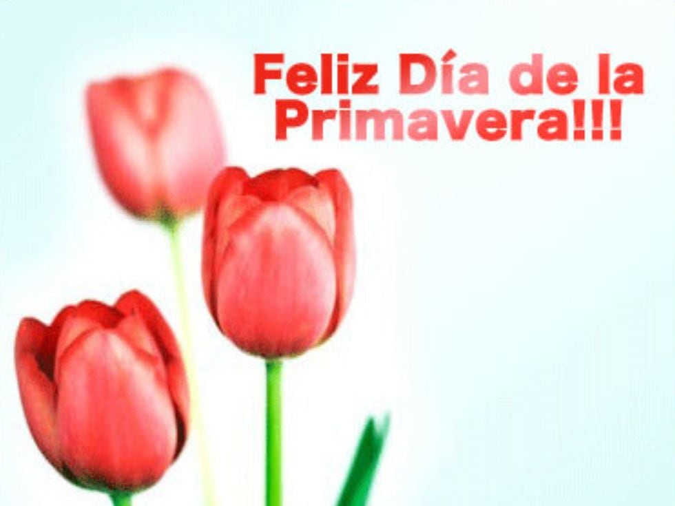Dia De La Primavera 2024