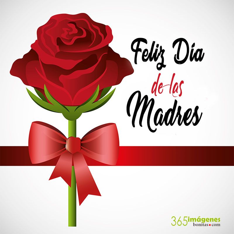 Feliz Dia De La Madre 2021