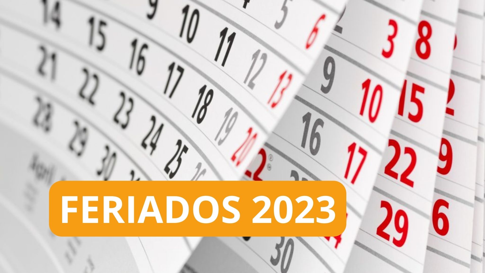 Feriado 7 De Diciembre 2023