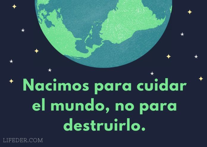 Frases Para Cuidar El Medio Ambiente