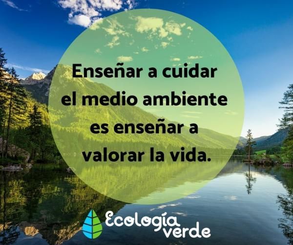 Frases Sobre El Medio Ambiente