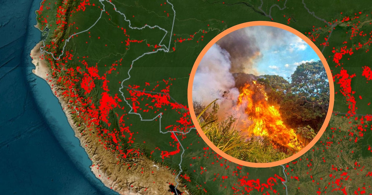Incendios Forestales En Perú 2024