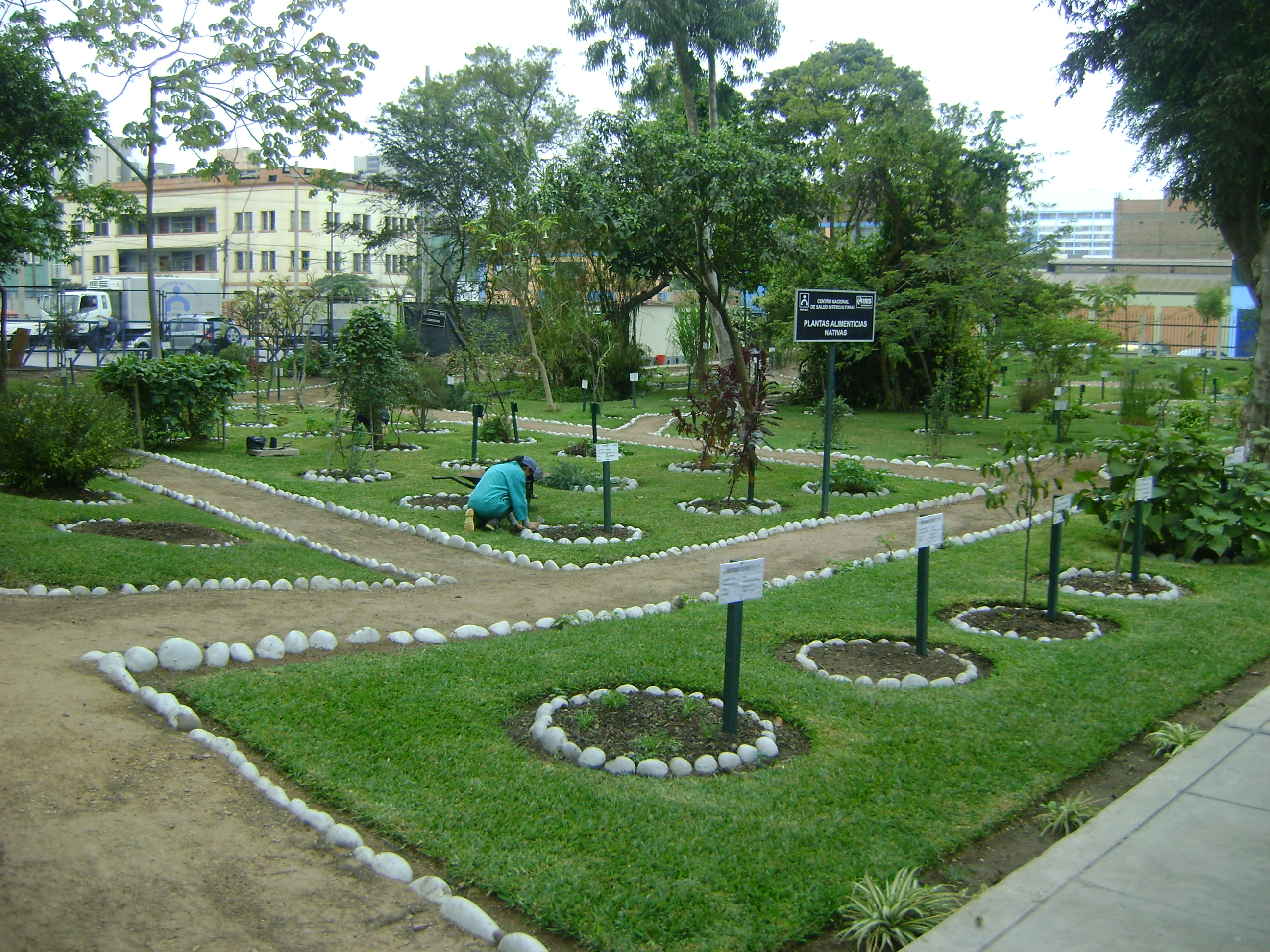 Jardín Botánico De Plantas Medicinales