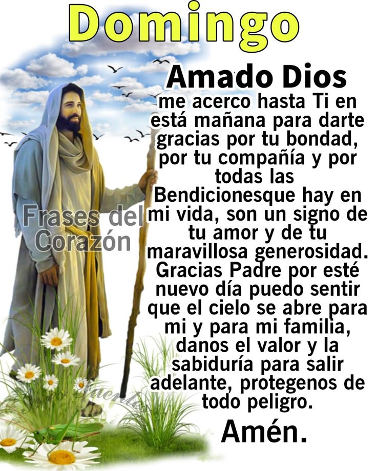 Mañana Domingo Se Puede Salir