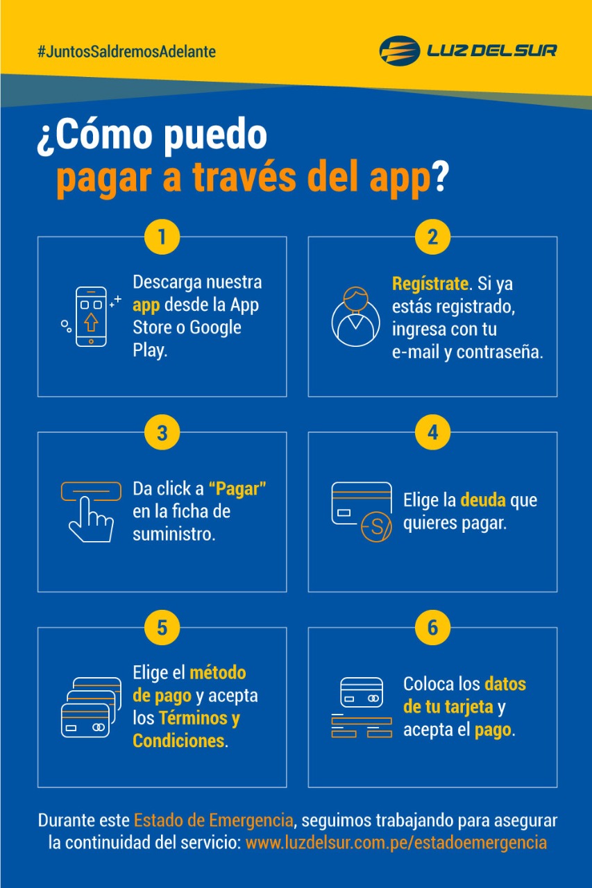 Pagos En Linea Luz Del Sur