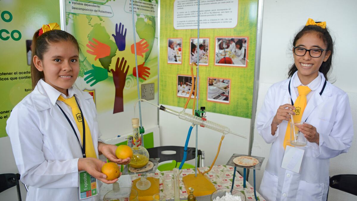 Proyectos De Ciencia Para Secundaria Ganadores