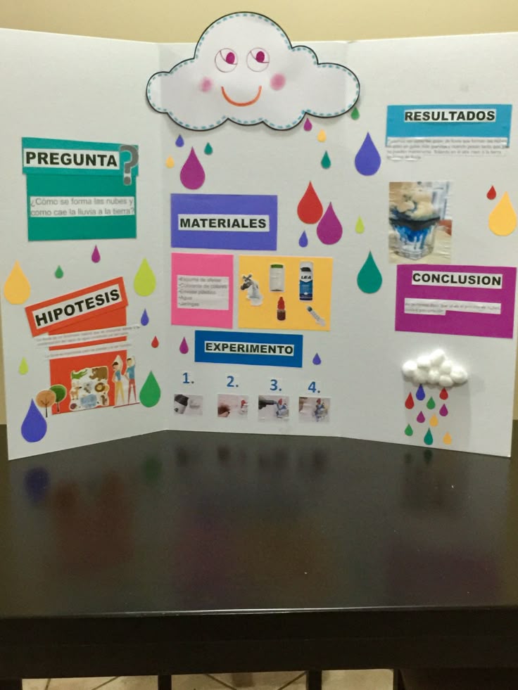 Proyectos Para Feria De Ciencias Primaria