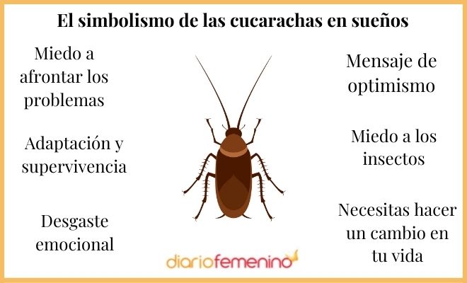 Que Significa Soñar Con Cucarachas Corriendo