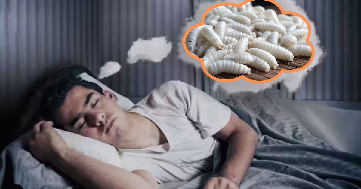 Que Significa Soñar Con Gusanos