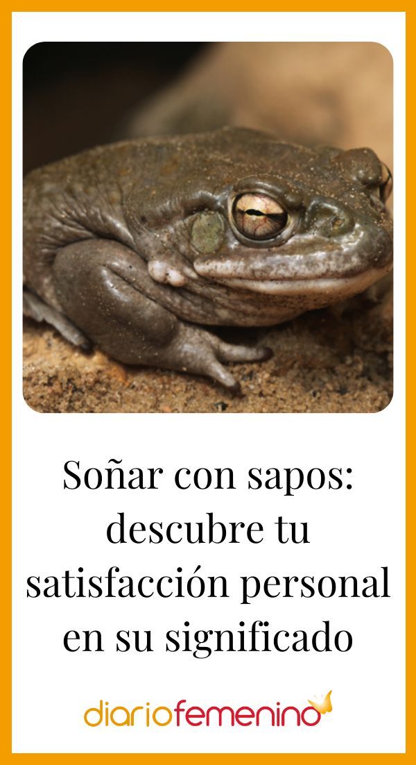 Que Significa Soñar Con Sapos En Lo Espiritual