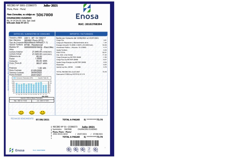 Recibo De Luz Enosa