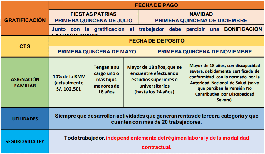 Régimen Laboral 728