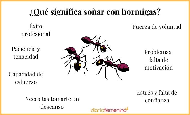 Soñar Con Hormigas Chiquitas