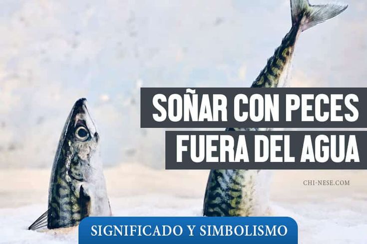 Soñar Con Peces Fuera Del Agua