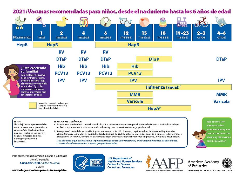 Vacunas Para Bebés De 0 A 12 Meses En Estados Unidos