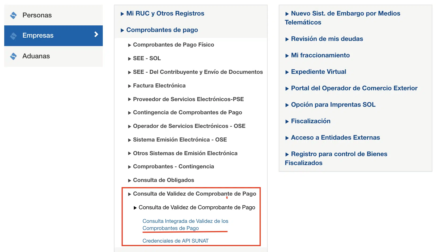 Verificacion De Comprobantes De Pago