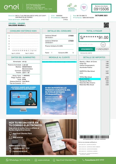 Www.enel.pe Mi Recibo De Luz