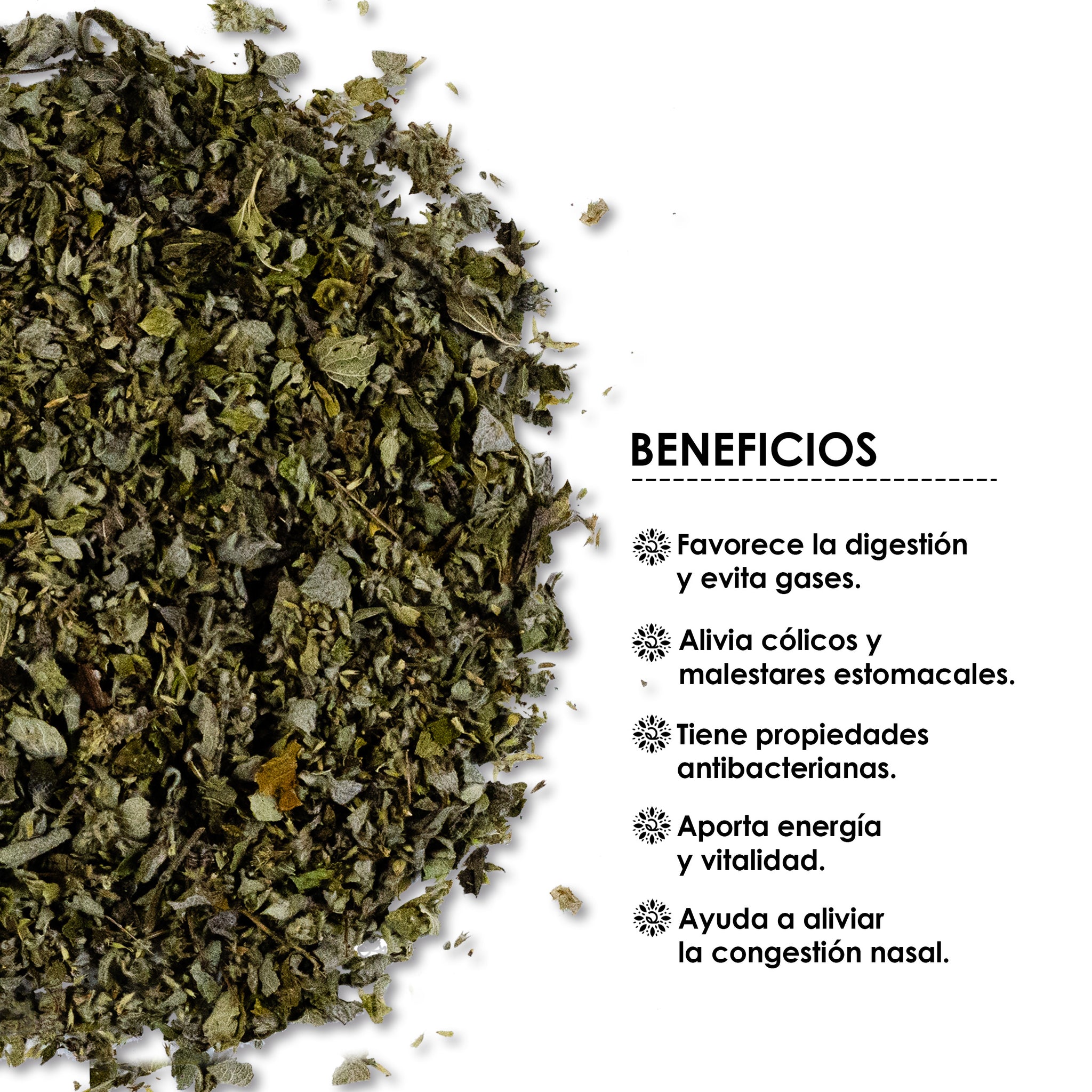 10 Beneficios De La Muña