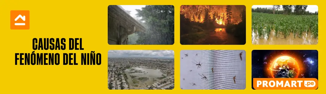 Causas Del Fenomeno Del Niño