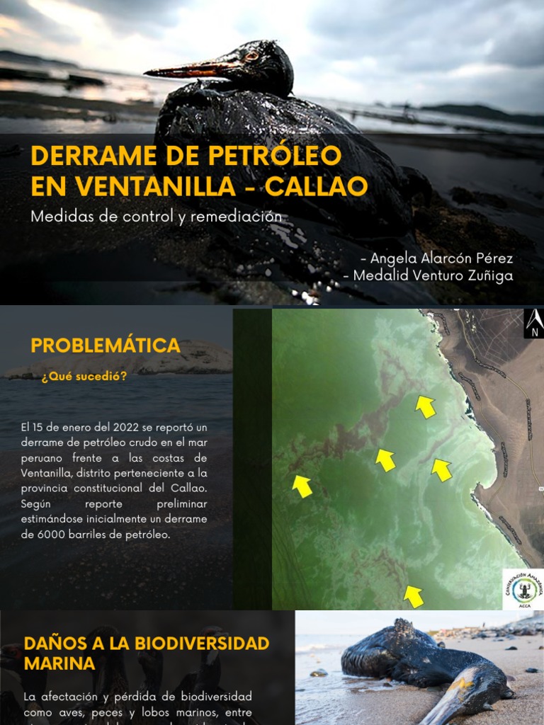 Derrame De Petróleo En Ventanilla Pdf