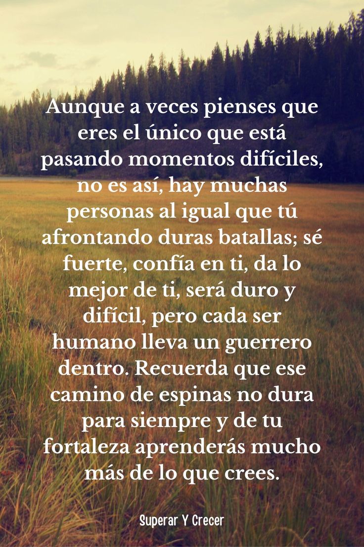 Frases Motivadoras Para Seguir Adelante