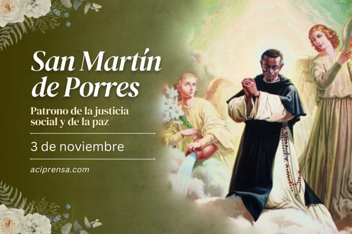 San Martín De Porres Patrono De Que Es