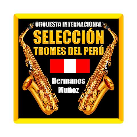 Selección Tromes DEL Perú Santiago Huancayo