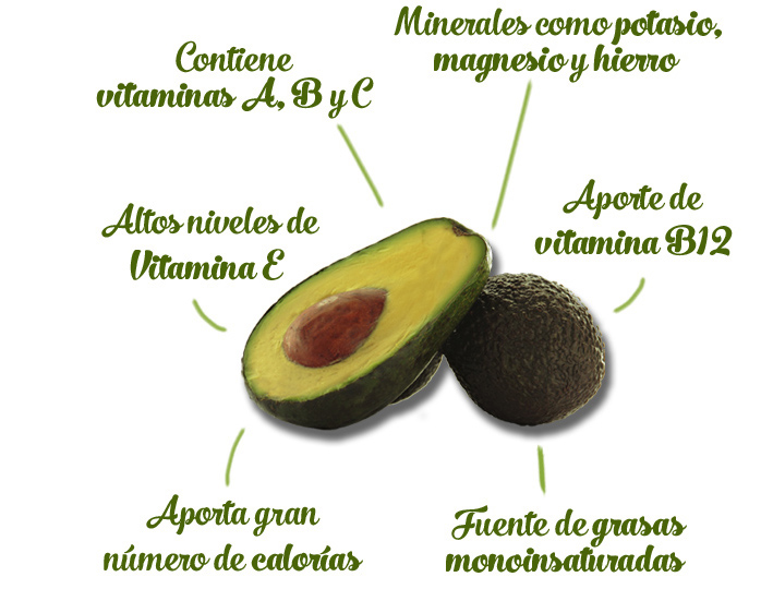 10 Beneficios Del Aguacate