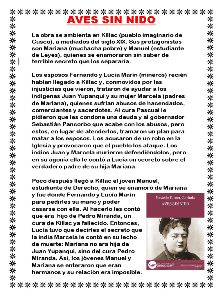 Aves Sin Nido Resumen