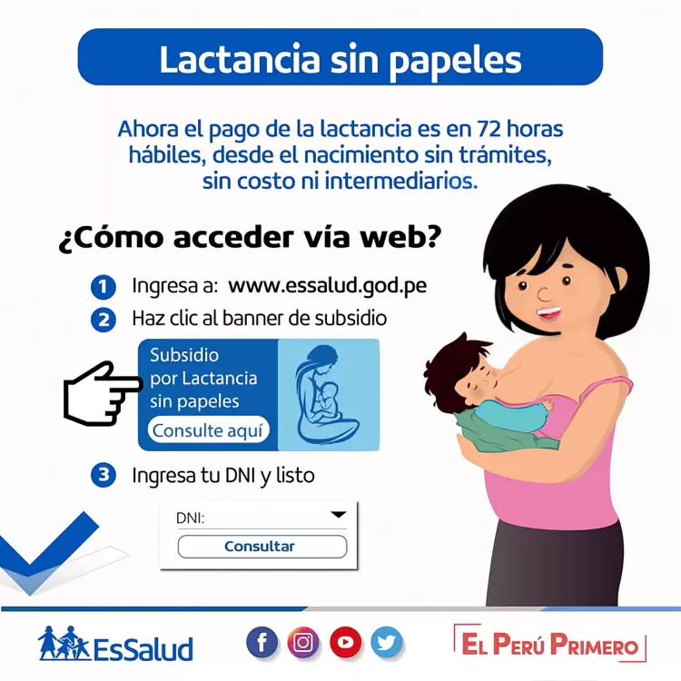 Bono EsSalud 2025 Consulta