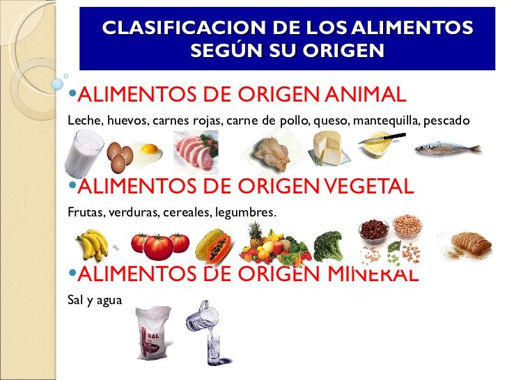 Clasificación De Los Alimentos Según Su Origen