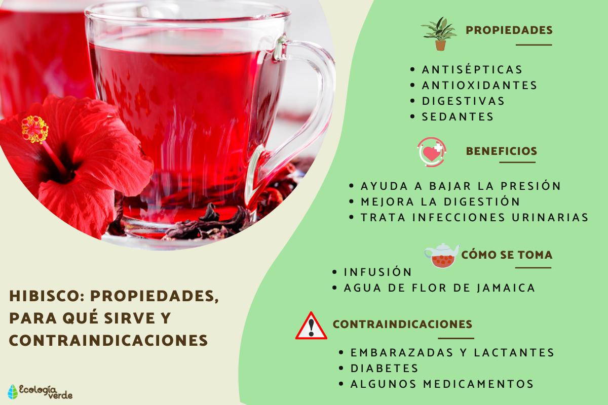 Flor De Jamaica: Beneficios Y Desventajas