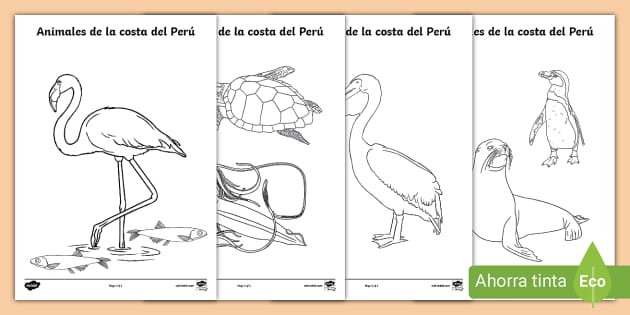 Flora Y Fauna De La Costa Peruana Para Dibujar