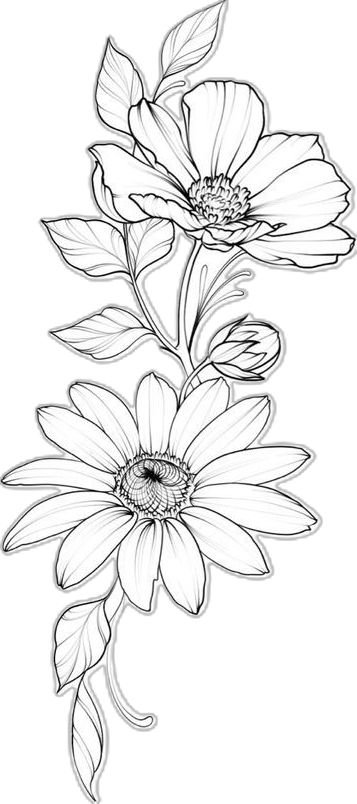 Flores Para Dibujar A Lapiz