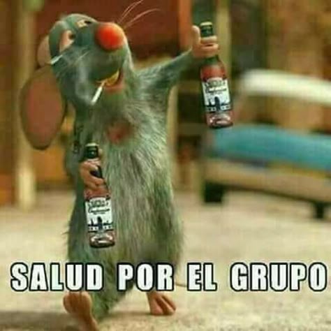 Fotos Para Grupos De Whatsapp Graciosas