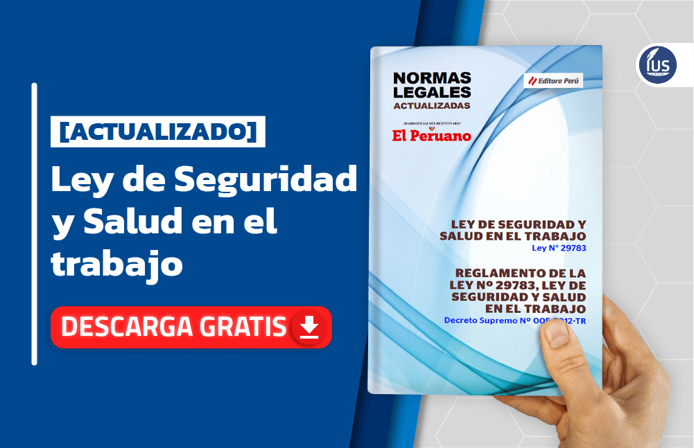 Ley 29783 Actualizada 2024