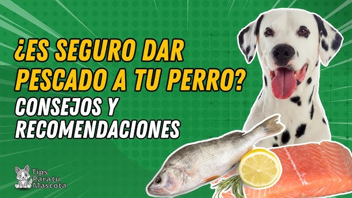 Los Perros Pueden Comer Pescado Tilapia