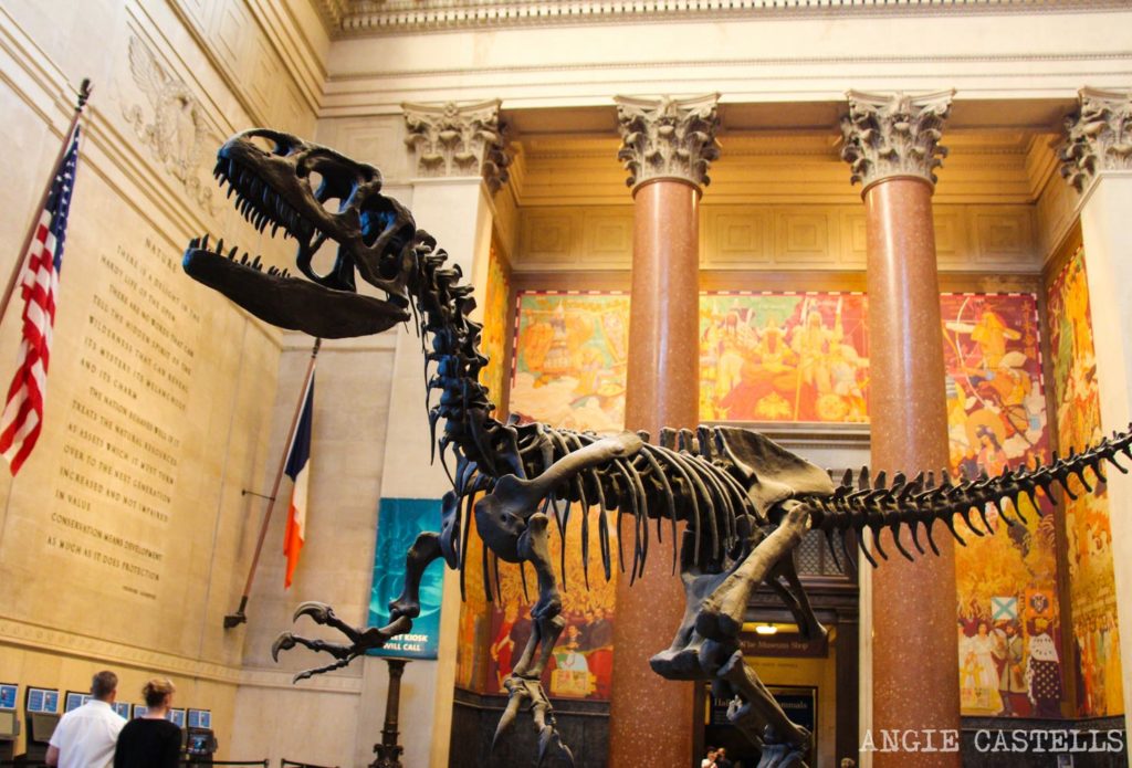 Museo De Historia Natural