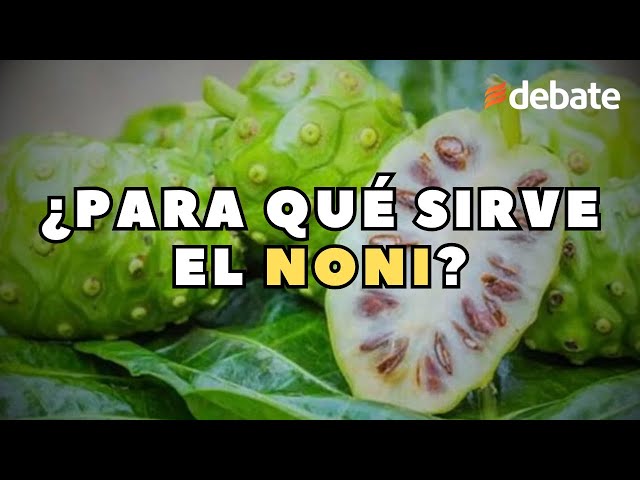 Para Que Sirve El Noni Y Como Se Toma